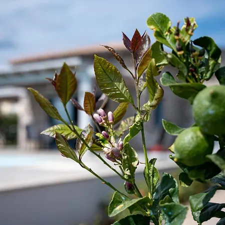 Costa Bianca Koilás