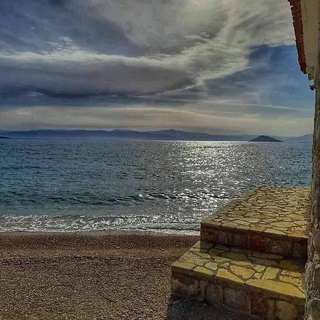 Costa Bianca فيلة