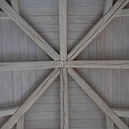 فيلة Costa Bianca *