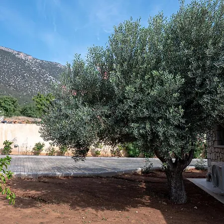 Villa Costa Bianca *