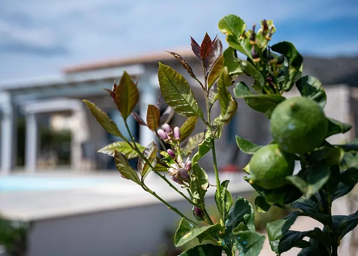 Costa Bianca Koilás