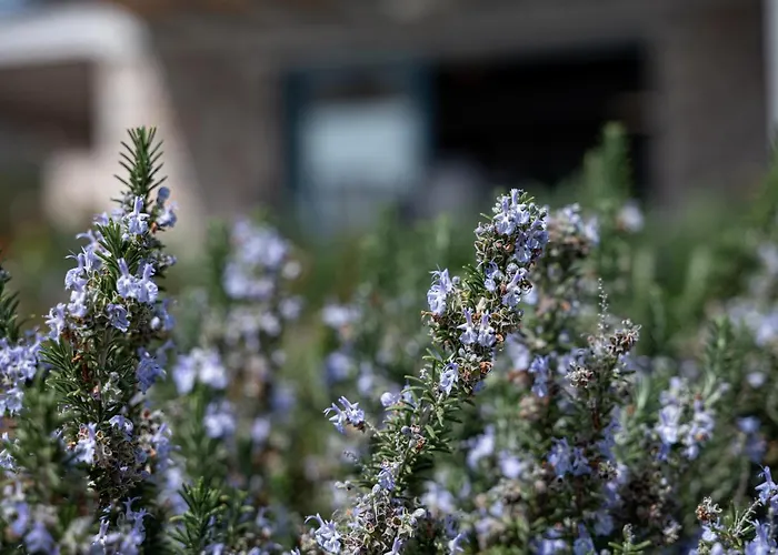 Villa Costa Bianca *